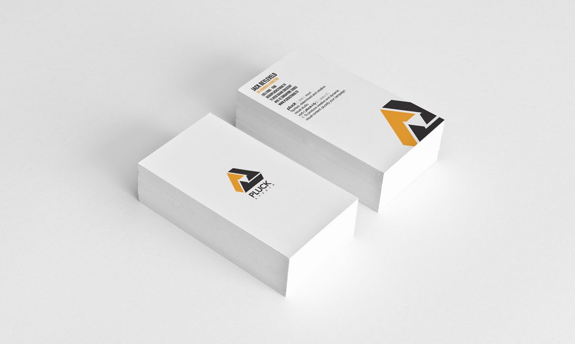 Portfolio Image