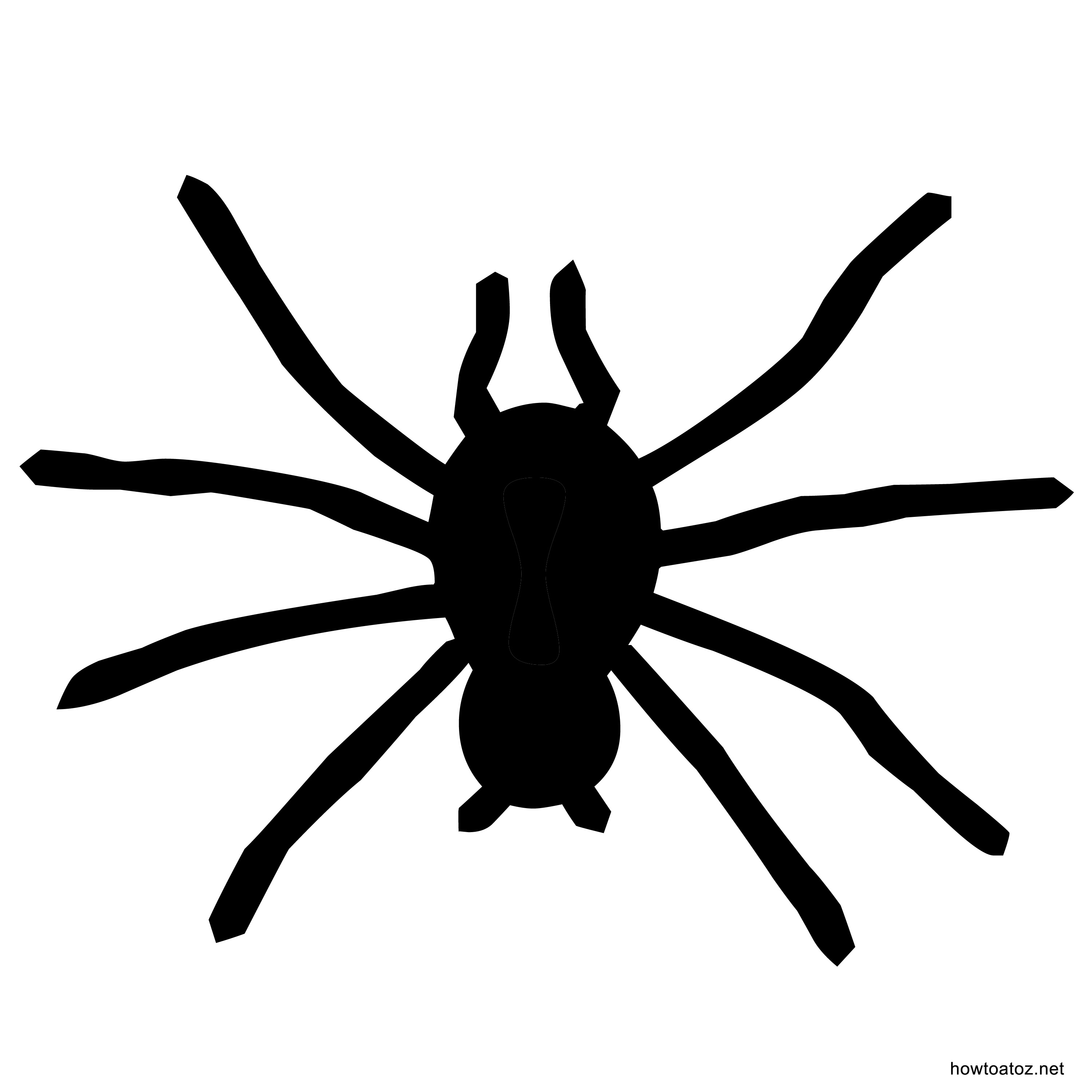 Printable Spider Stencil Printable Word Searches
